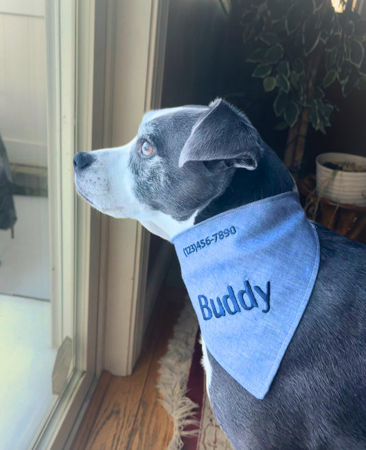 Personalized pet ID bandana with embroidered name and phone number